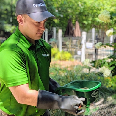 Residential Pest Control