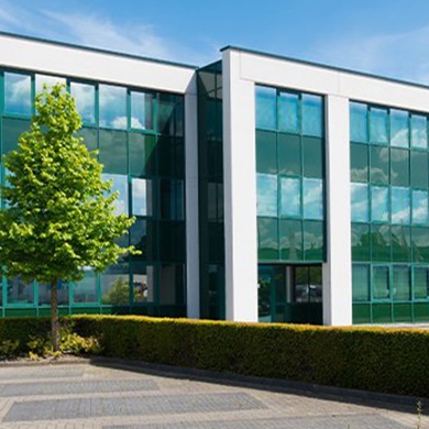 Commercial Pest Control